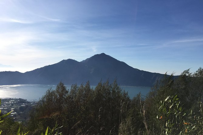 Mount Batur Sunrise Trekking & Hot Spring Tour - A family coffee plantation on the way home