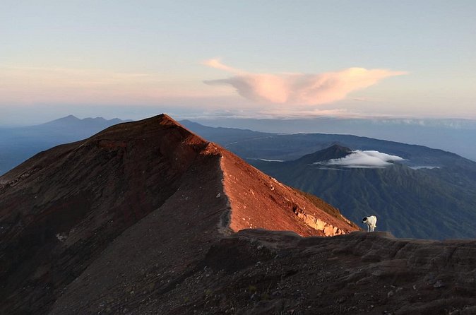 Mount Batur Sunrise Trekking, Hot Springs & Lunch at Restaurant - Booking details worth checking first