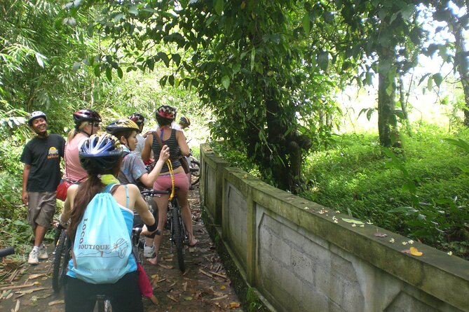 Mountain Cycling Tour - The local fruit, spice, and village stops