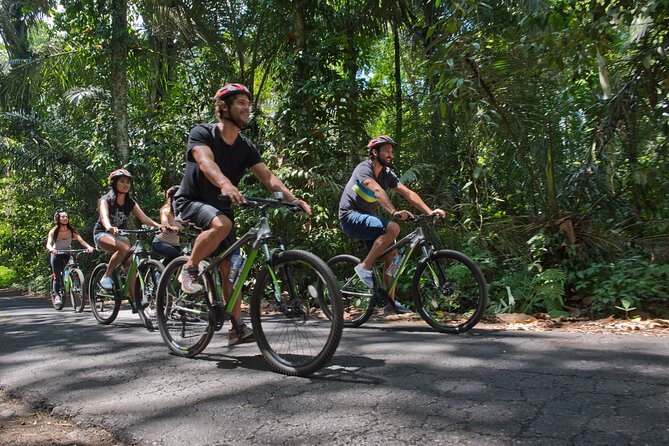 Mountain Cycling Tour - Is $57 a good value?