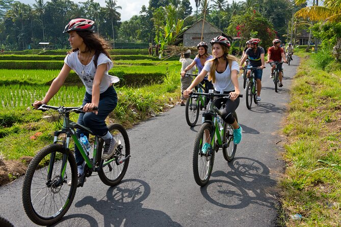Mountain Cycling Tour - The early transfer from Southern Bali