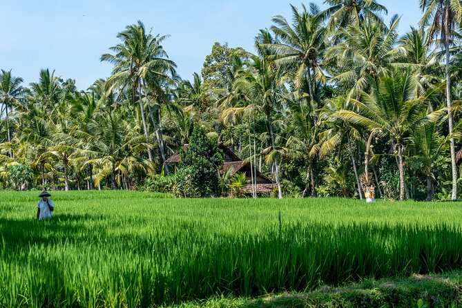 Munduk: Tamblingan jungle trek, waterfall, Ulun Danu temple - Starting at Coco Supermarket in Ubud