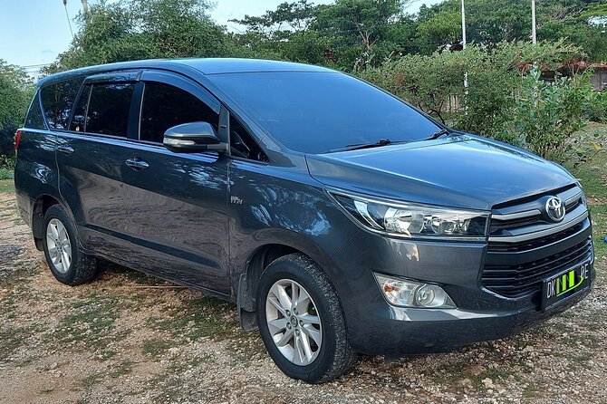 Ngurah Rai International Airport Private Arrival Transfer - Why accurate flight details matter