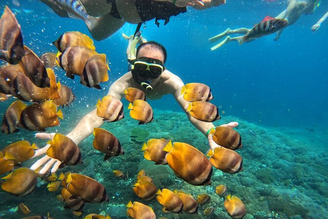 No:#1. Penida Island Tour And Snorkeling With Manta - Crystal Bay, Gamat Bay, and Wall Bay Point