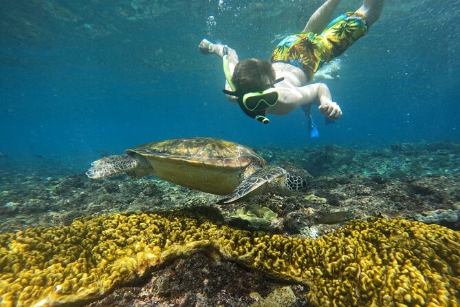 No:#1. Penida Island Tour And Snorkeling With Manta - What the boat day feels like for beginners