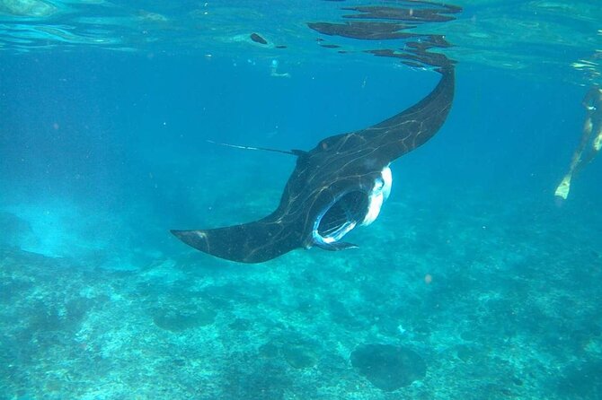 No:#1. Penida Island Tour And Snorkeling With Manta - Lunch, equipment, and what you should bring