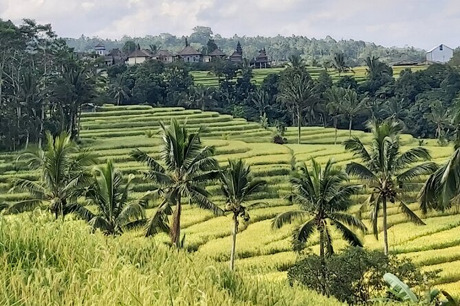 North Bali Private Tour - All Inclusive - Banyumala Twin Waterfalls, the day’s active section