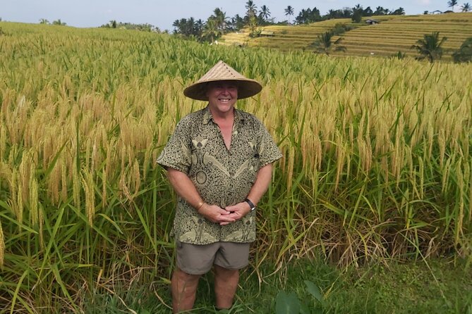 North Bali Private Tour - All Inclusive - The value of $71 per person