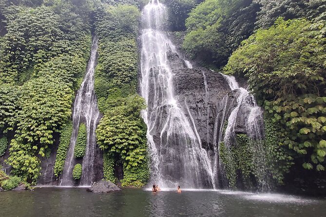 North Bali Private Tour - All Inclusive - Handara Iconic Gate and the photo-stop question