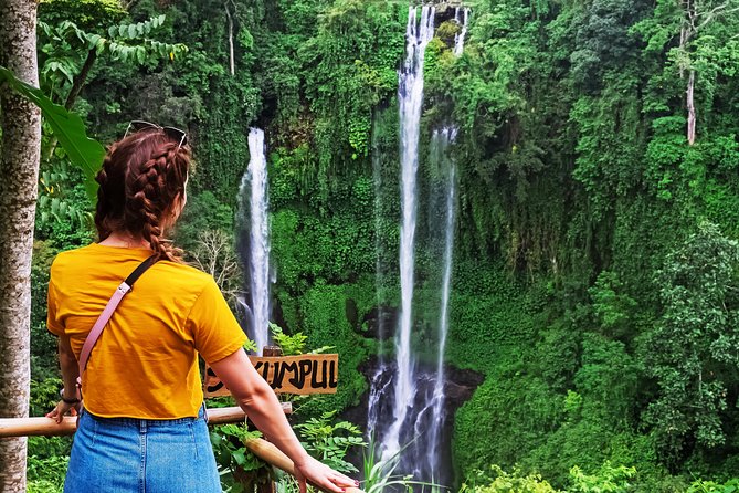 North Bali: Sekumpul Waterfalls and Ulun Danu Temple Tour - Timing, food, and what to pack