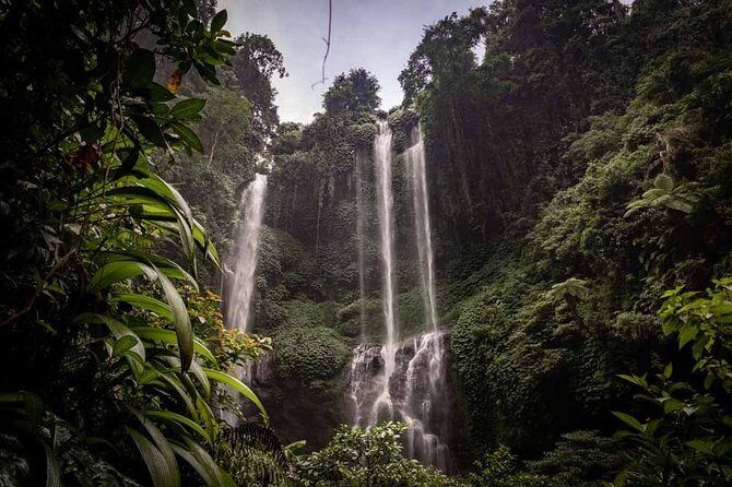 North Bali Tour: Banyumala Waterfall & Wanagiri Hidden Hills - What the $80 North Bali day actually gives you