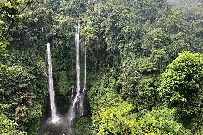 North Bali Tour: Banyumala Waterfall & Wanagiri Hidden Hills - Leaving Ubud at 8:00 a.m.