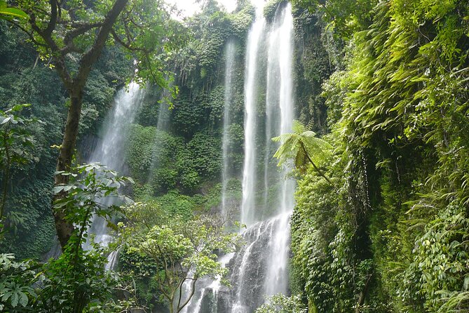 North Bali Tour: Banyumala Waterfall & Wanagiri Hidden Hills - Wanagiri Hidden Hills and the famous swing