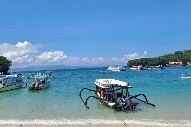 Northern Bali Highlights + Unesco Scenic Heritage Rice Terrace. - Why this route works for a northern Bali day