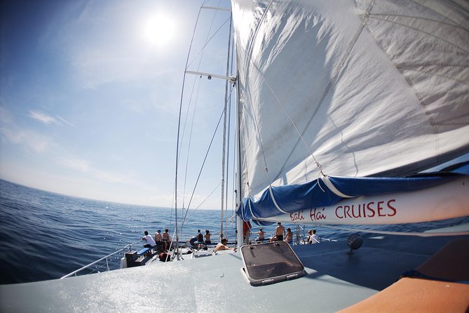Nusa Lembongan: Island Discovery Cruise - Practical details that affect your choice