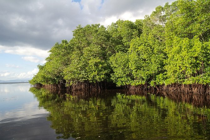 Nusa Lembongan Island: Snorkeling & Mangrove Forest Day Tour - Snorkeling over the coral reef