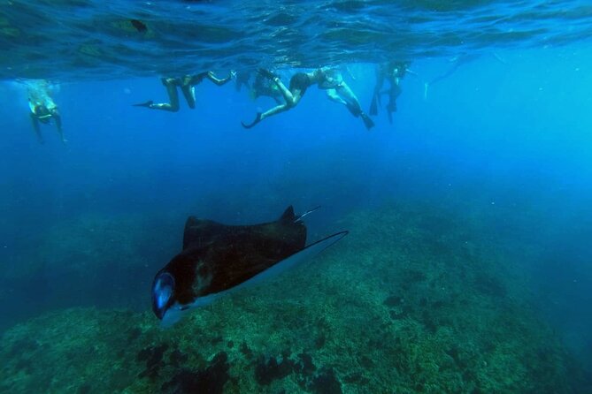 Nusa Penida 4 Spot Snorkeling with Manta and Island Tour - Key points to know before booking
