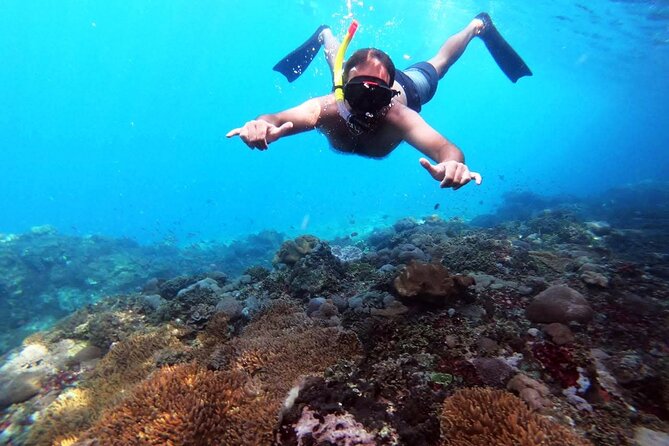 Nusa Penida 4 Spot Snorkeling with Manta and Island Tour - A full day from Kuta to Nusa Penida