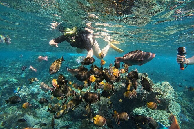 Nusa-Penida customize Tour - All inclusive - Crystal Bay, swimming, and snorkeling