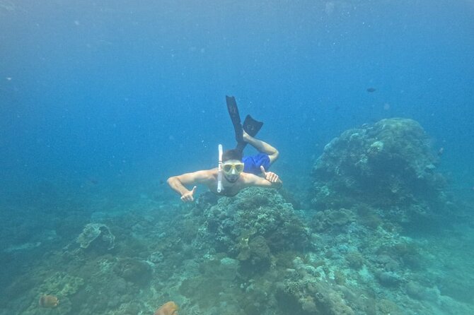 Nusa-Penida customize Tour - All inclusive - The eastern route: Diamond Beach, Atuh, Raja Lima, and tree houses