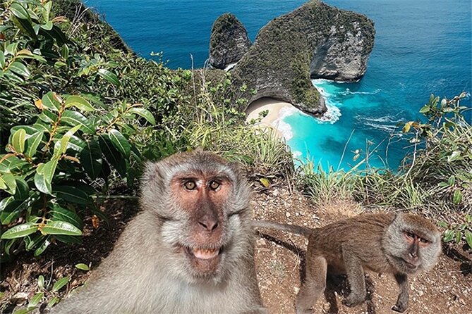 Nusa Penida day trip: boat, 4 snorkeling, Manta rays & Land tour - Kelingking Cliff, a famous view with a long road ride