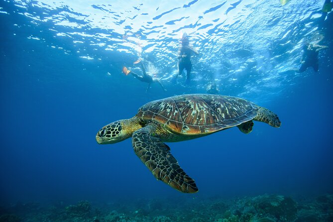 Nusa Penida day trip: boat, 4 snorkeling, Manta rays & Land tour - Lunch at a scenic restaurant with an infinity pool