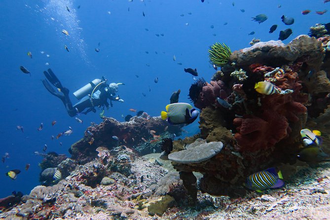 Nusa Penida Day Trip for 3 dives - What is included, and what will cost extra