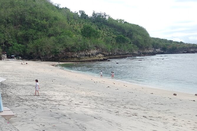 Nusa Penida East And West Full Day Private Guided Tour - Kelingking Beach and the famous cliff shape