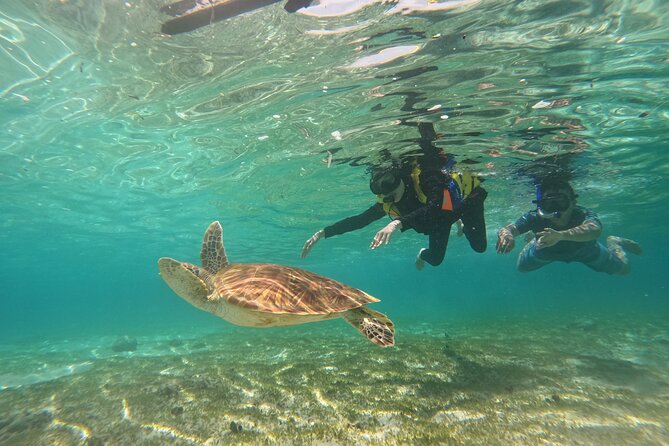 Nusa Penida & Gili Trawangan 3Days 2Night (Snorkeling) - Kelingking Beach brings the famous view