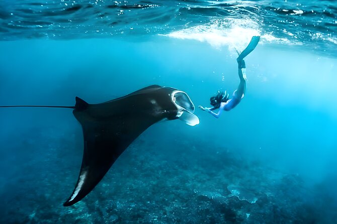 Nusa Penida Island Beach Tour With Snorkeling - Departure From Bali Island - Key points to know before booking