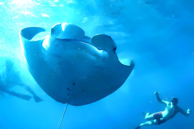 Nusa Penida Island Beach Tour With Snorkeling - Departure From Bali Island - Gamat Bay: a short first look underwater