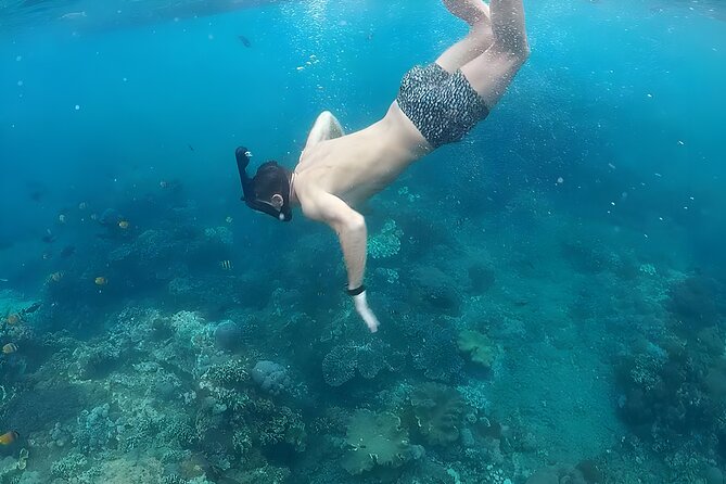 Nusa Penida Island Beach Tour With Snorkeling - Departure From Bali Island - Kelingking Beach: the famous cliff view