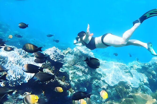 Nusa Penida Island Beach Tour With Snorkeling - Departure From Bali Island - The early start from Bali