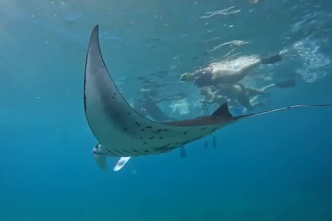 Nusa Penida Land Tour and 4 Points Snorkeling with Manta - Key points at a glance