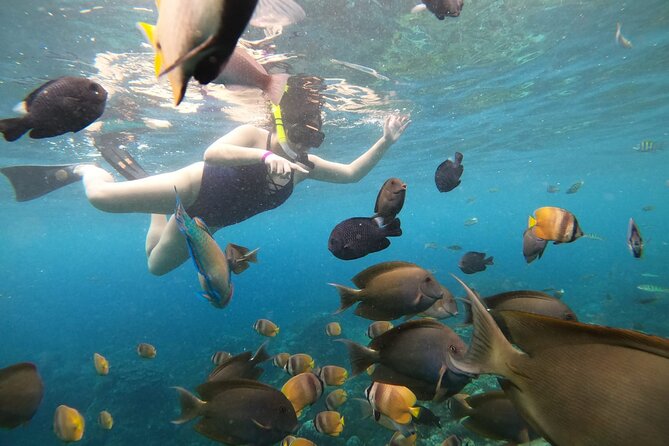 Nusa Penida Land Tour and 4 Points Snorkeling with Manta - Who should book this $58 tour