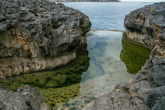Nusa Penida One Day Trip to Instagrammable Spot by Penidago - Kelingking Beach: the big view first
