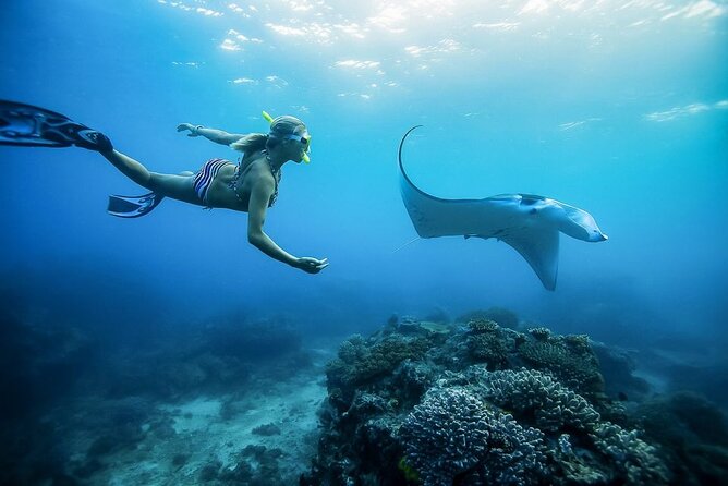 Nusa Penida Private Snorkeling and West Tour Start from Bali - Sanur to Nusa Penida: A Long but Efficient Day