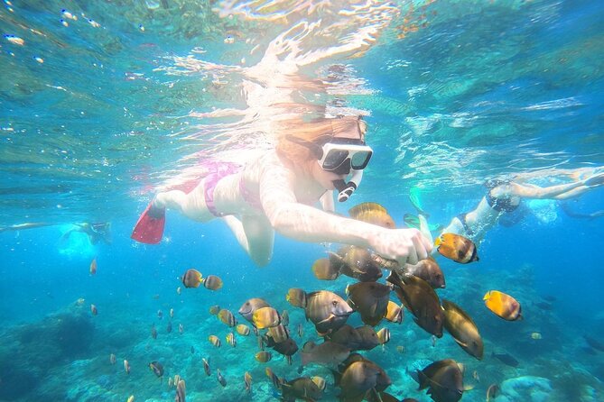 Nusa Penida Private Snorkeling and West Tour Start from Bali - Three Bays, Three Different Chances to See Marine Life