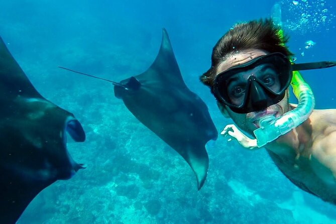 Nusa Penida Snorkeling 3 Point with Manta Bay & Land Tour - The early pickup and Sanur port routine
