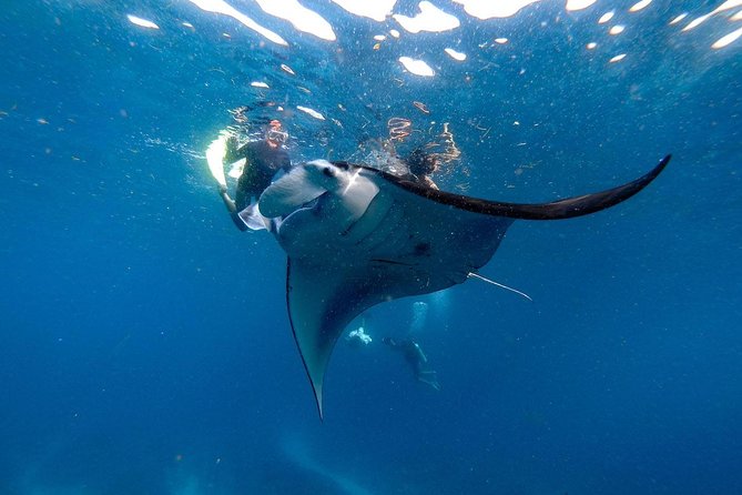 Nusa Penida Snorkeling Adventure (Private & All-Inclusive) - Crystal Bay and the return to Bali