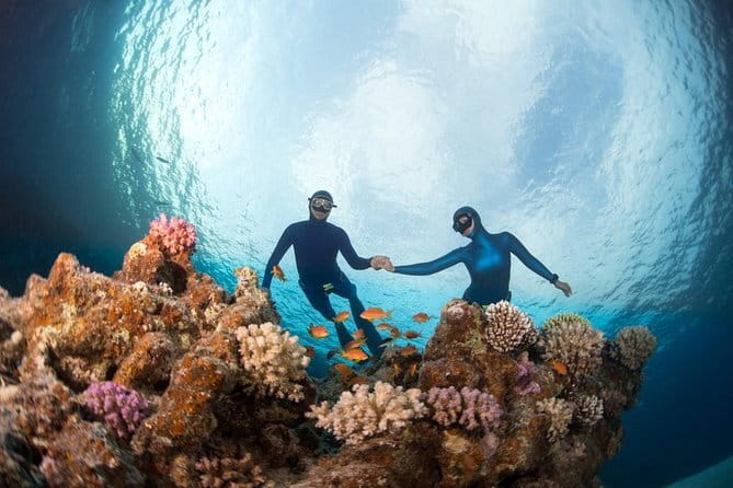 Nusa Penida : Snorkeling Trip Manta Point, Gamat Bay and Wall Bay - The equipment, guide, and GoPro package
