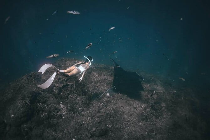 Nusa Penida : Snorkeling Trip Manta Point, Gamat Bay and Wall Bay - Is $27.49 good value?