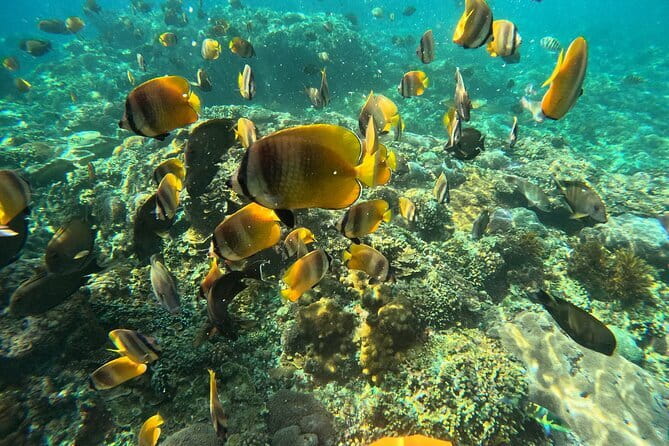 Nusa Penida : Snorkeling Trip Manta Point, Gamat Bay and Wall Bay - Weather, cancellation, and practical planning