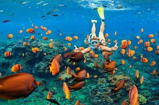 Nusa Penida Trip with Snorkeling all-Inclusive - Kelingking Beach and the famous cliff view