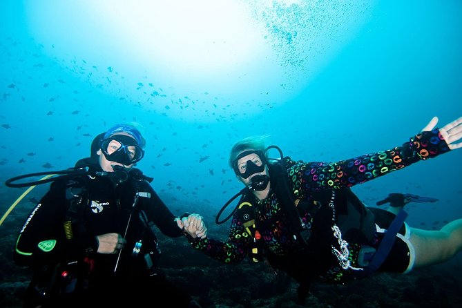 Nusa Penida Try Scuba Diving Program - for Non-Certified Divers - Key points to know before booking