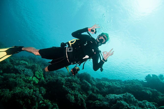 Nusa Penida Two Dives Trip for Certified Divers - Why Manta Point makes this Nusa Penida trip special