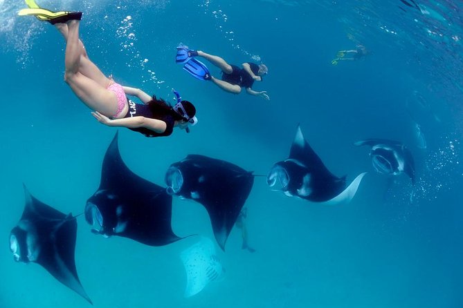 One Day Snorkeling Trip & West Tour Nusa Penida by Penidago - Why this Penidago day trip covers so much