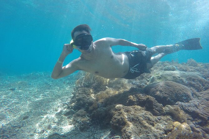 One Day Snorkeling Trip & West Tour Nusa Penida by Penidago - Returning through Penida and Sanur