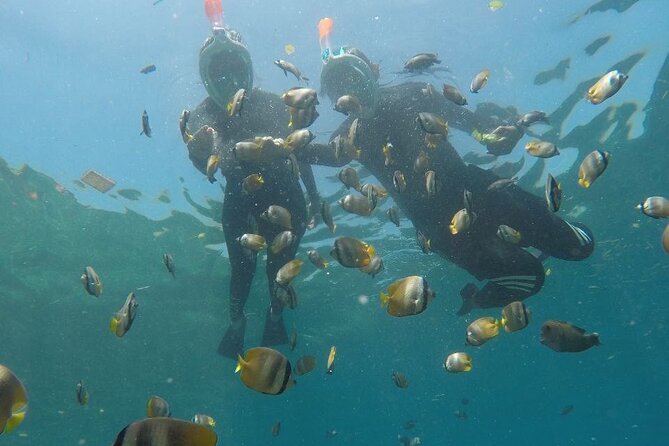 One Day Snorkeling Trip & West Tour Nusa Penida by Penidago - Is $25 good value?