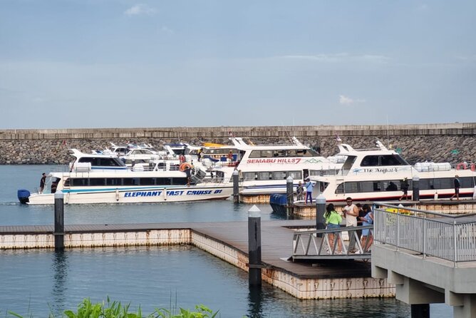 One-way Ticket Fast Boat from Sanur Bali or Nusa Penida - Who should choose this ticket?